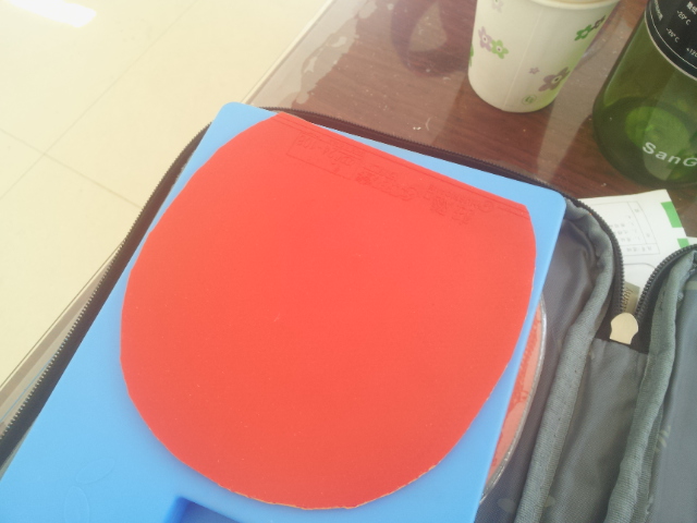 �� ֱ�� ���� ʡ�� 39�� ���˴���������