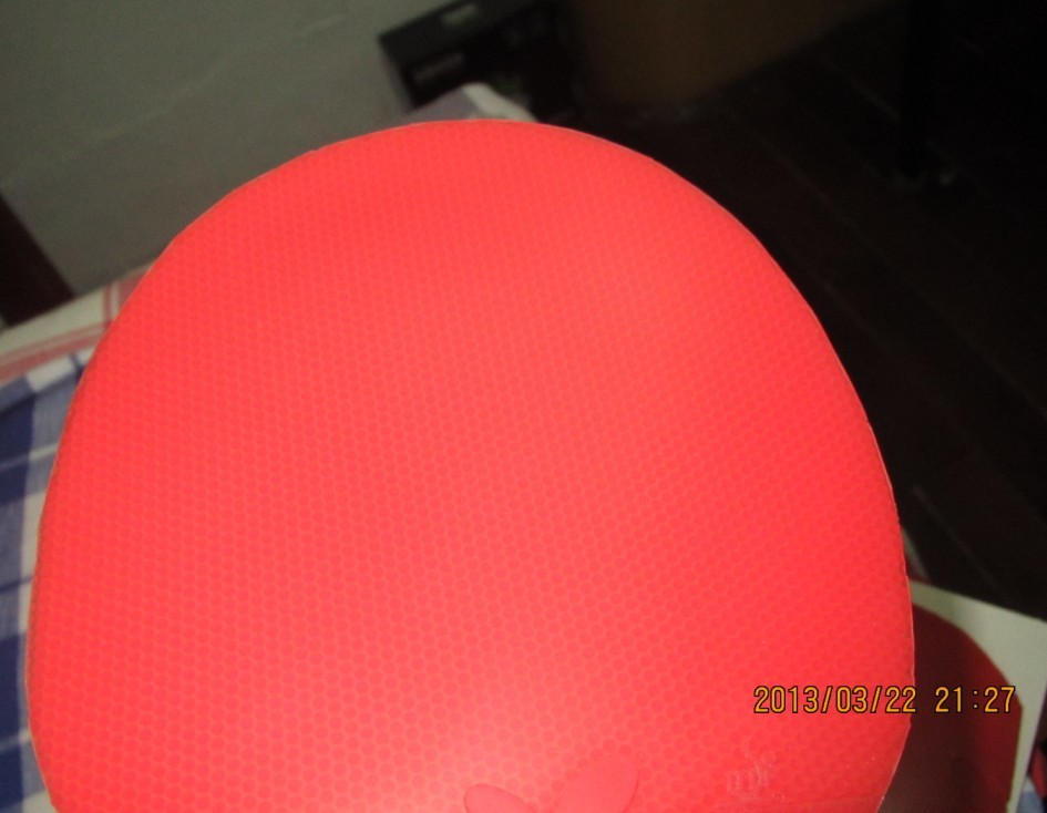 ���˳����������׽�����������������