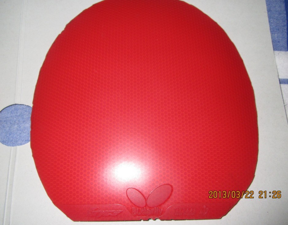 ���˳����������׽�����������������