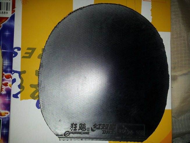 ʡ��39�� ���������л� ���