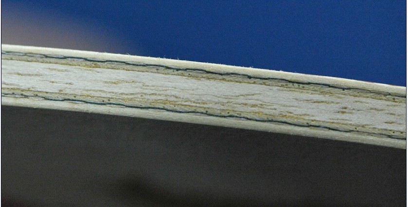 ������������졣���λ����������֧���ӵĽṹ��