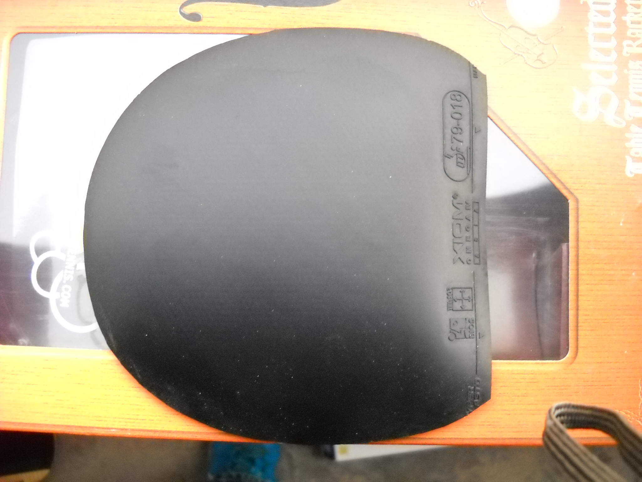 ����һ�ε�С����