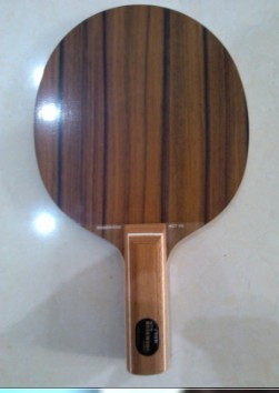 ҹõ尵ӿ----STֱSTIGA ROSEWOOD VII+3+GENIUS+