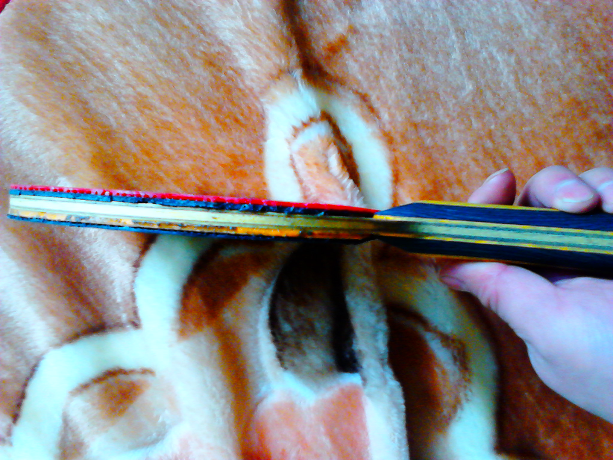 ��ʩ����̼��ST����������ZLC����������ͼ����