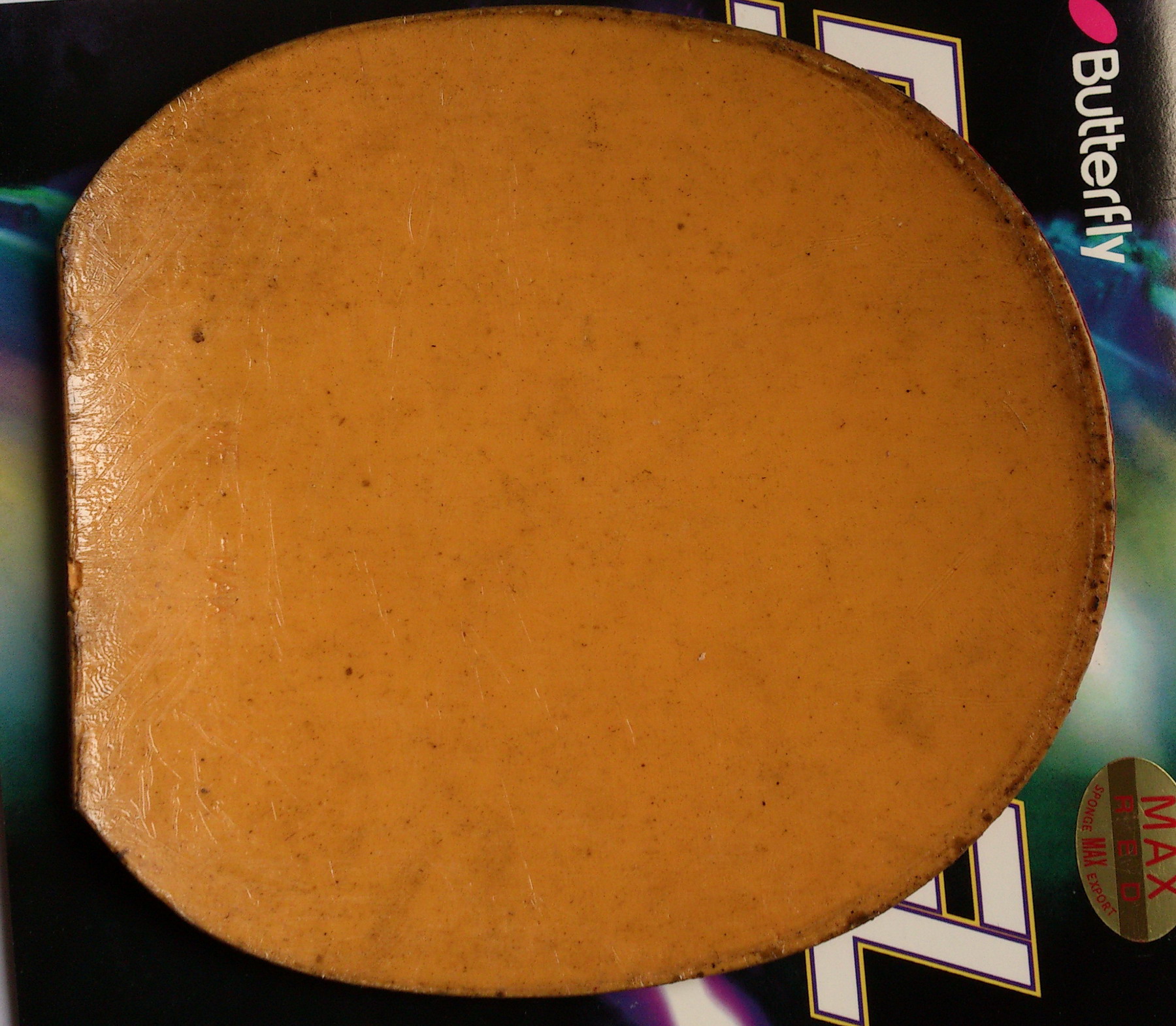 @@@@@@@@@@@��ŷ��ż��٤4��el  ��ɫ��ͼ  240������ʵ�����@@@@@@@@@