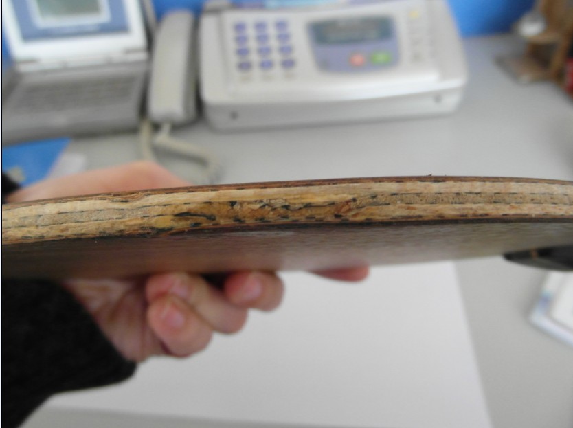 300�� ������17��