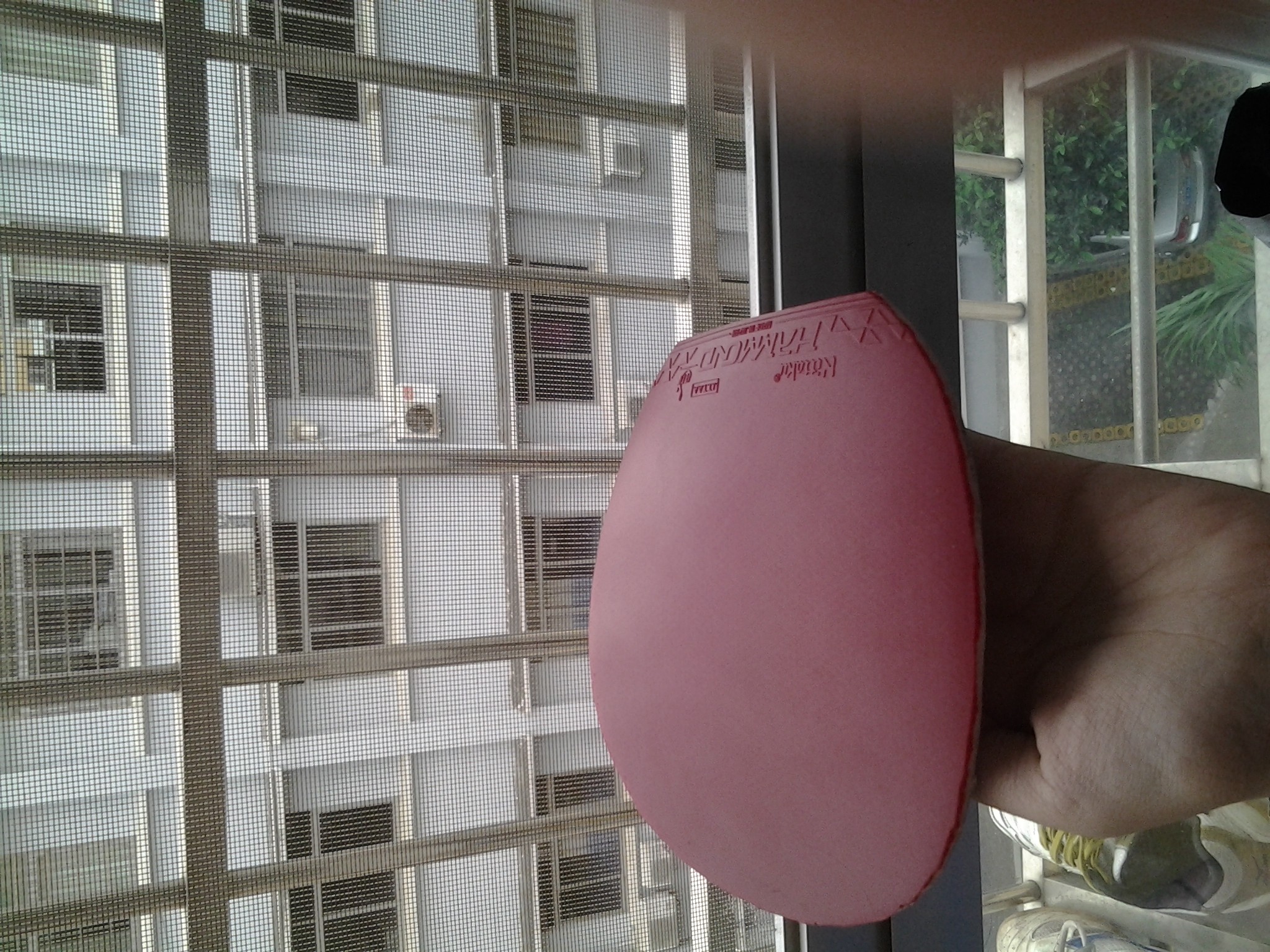 [ԭ��]���º�ɫ���� 100����