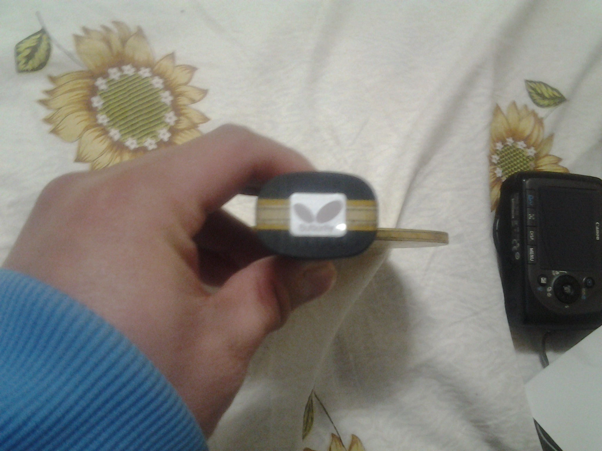 �ٴ���ͼINN-ZLC