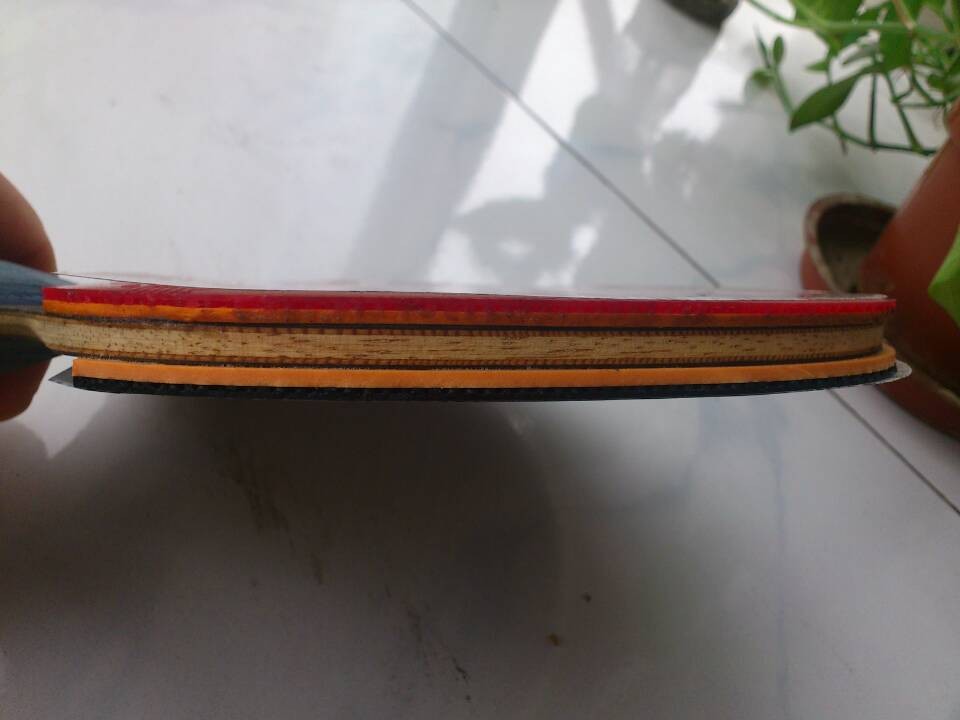 N656Ʒɼо1200ʳ