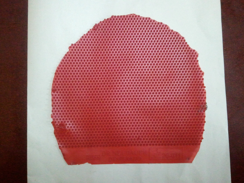 �����綥������--ţ��ʿ����ͽ