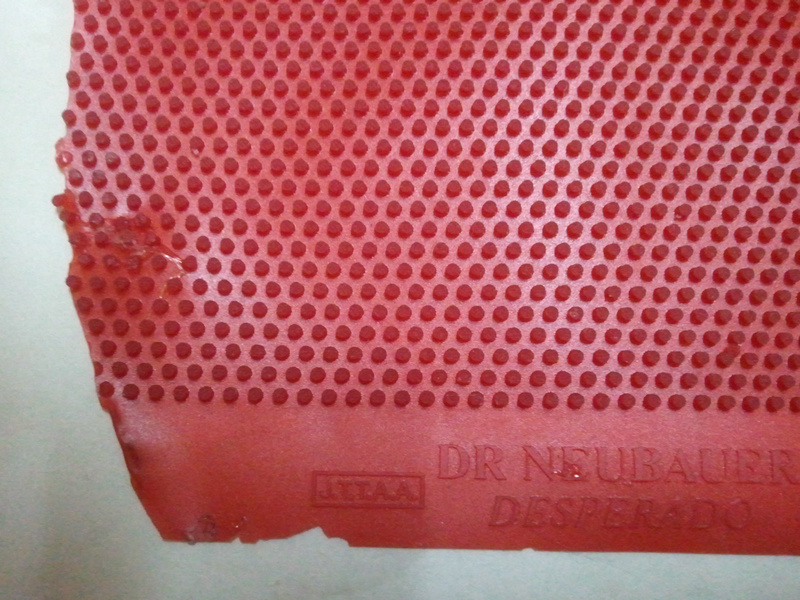 �����綥������--ţ��ʿ����ͽ