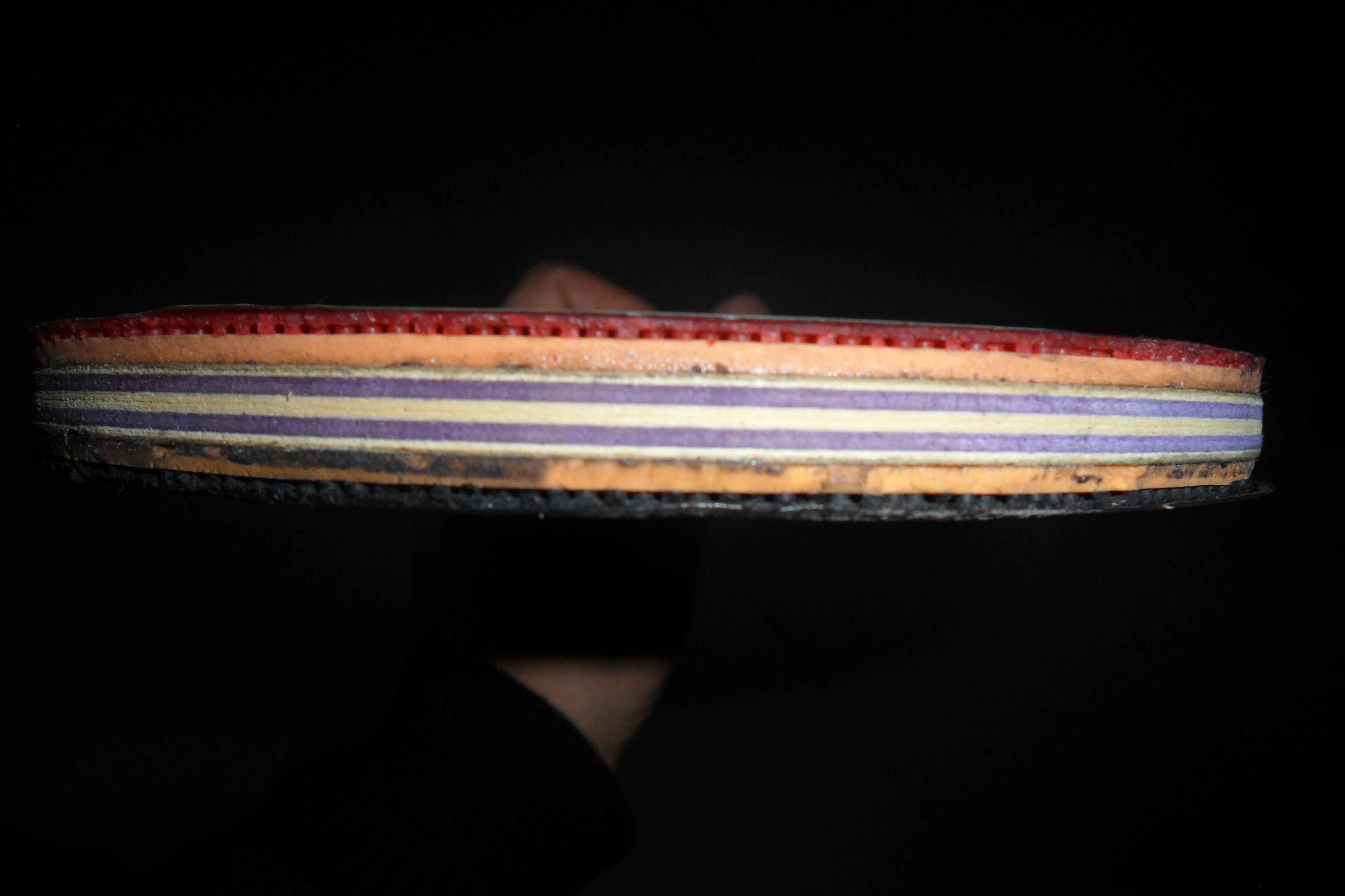 ������սcl