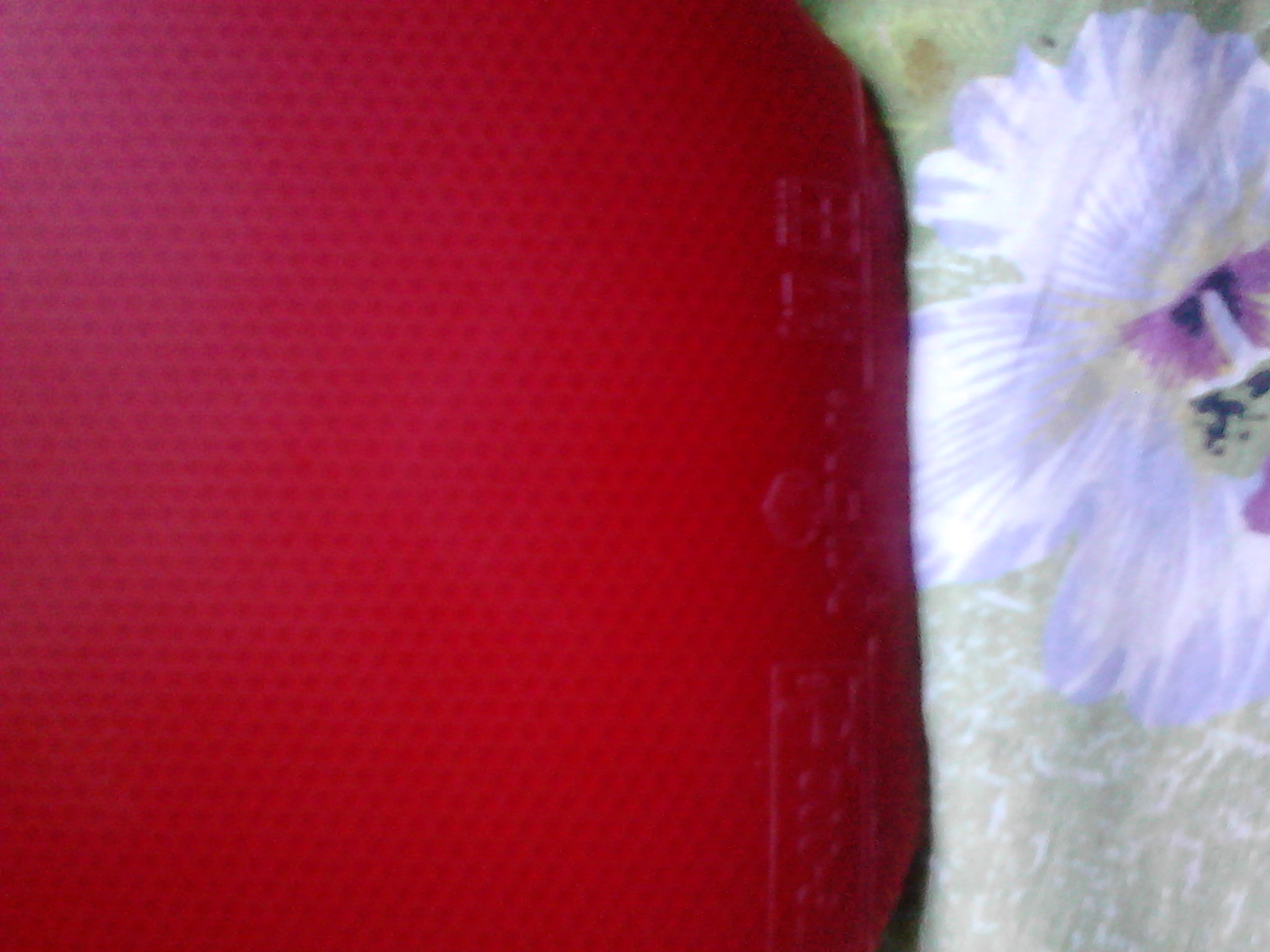 ��������ʹ�z�����µú�̴