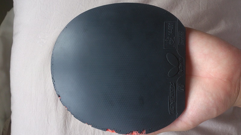 550��92��ŷ��С�˺�7