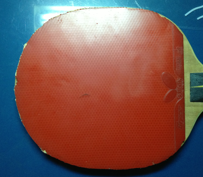 ͦľ 250