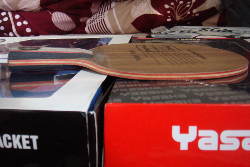 ��֧��������3ֱ��1��棬���YEO(93.8��)�����YEO (93.5��)���հ�YES��Banda Gimini (���FL)~~~