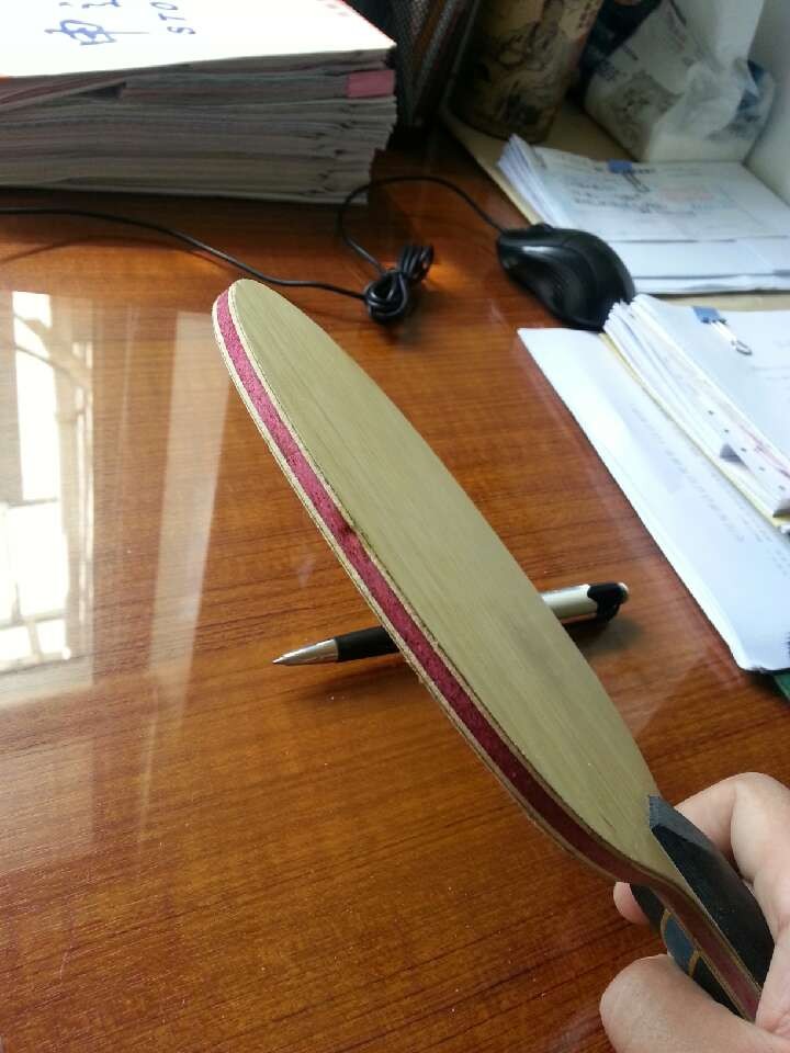 ���Ըе�STIGA--V1�������������������