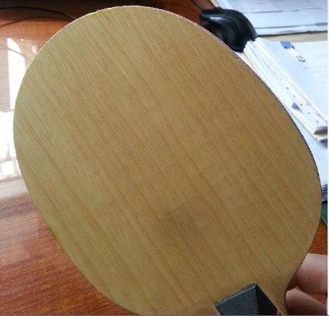 ���Ըе�STIGA--V1�������������������