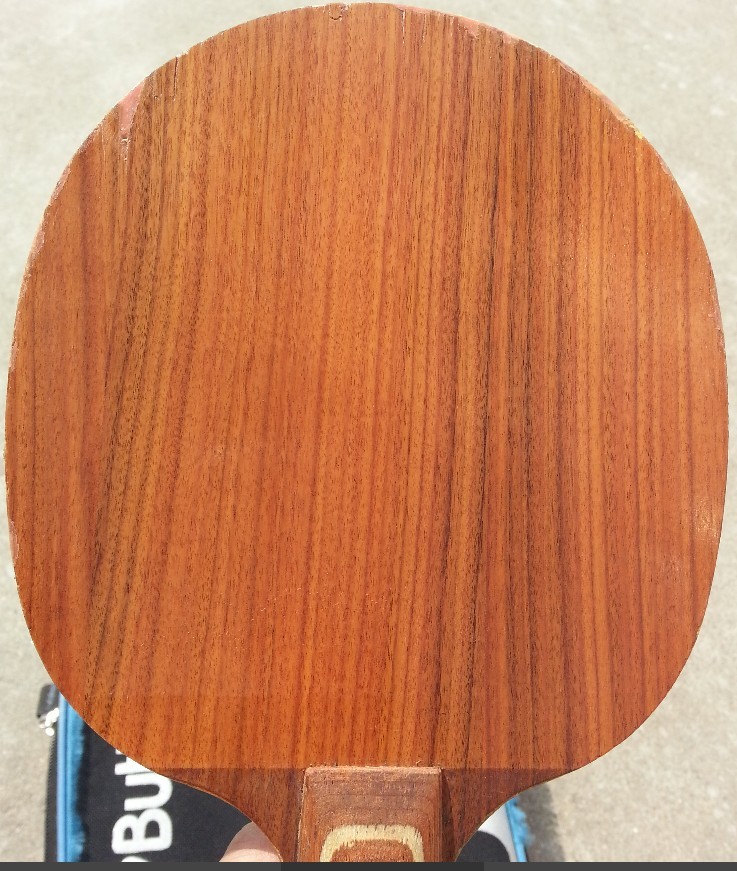 �����л�õ��5 ������650Ԫ�����    ���Ե������� 480Ԫ  �����