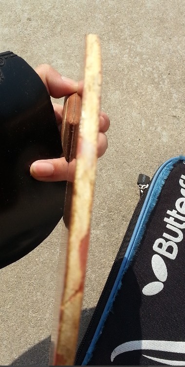 �����л�õ��5 ������650Ԫ�����    ���Ե������� 480Ԫ  �����