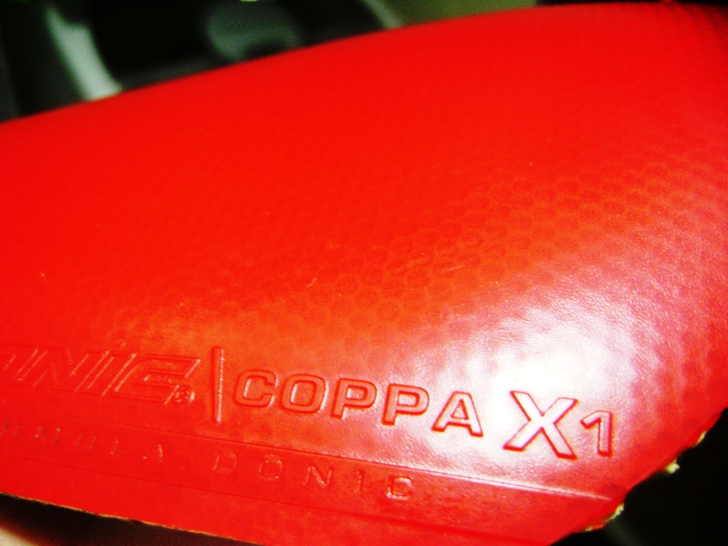 Żݴ2ŽƤ----------ɫʡ3  +  ɫDONIC  COPPA   X1