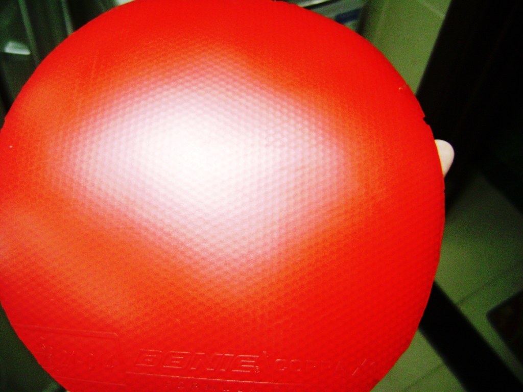 Żݴ2ŽƤ----------ɫʡ3  +  ɫDONIC  COPPA   X1