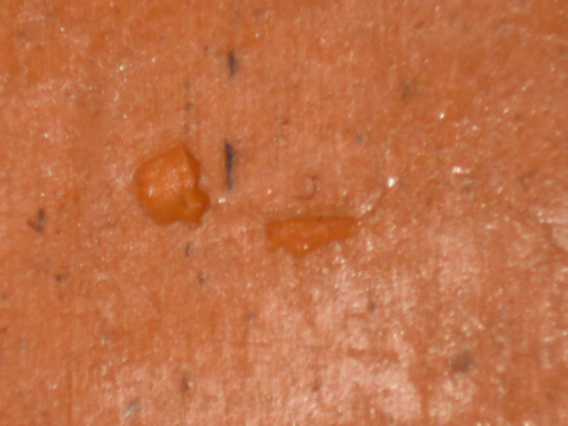 [����]�� �����־�ճ�Կ��3~~�������������������ˣ�