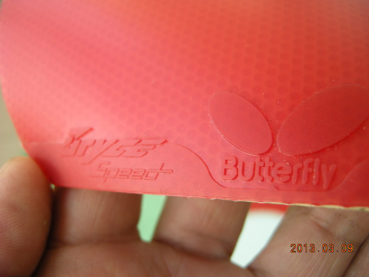 [ԭ��]��ʤ�л�FL��õ��5�ͺ�ɫ�������SPEED