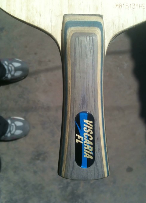 �����º�����