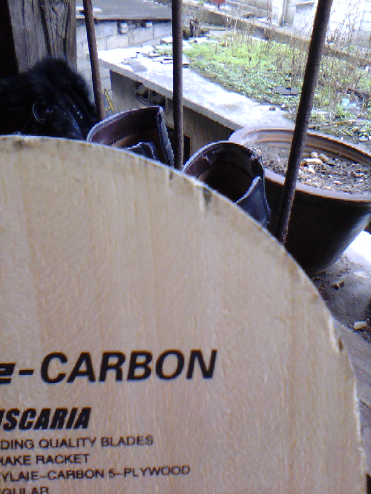 ������~~~~��VIS+++++����ٶ�