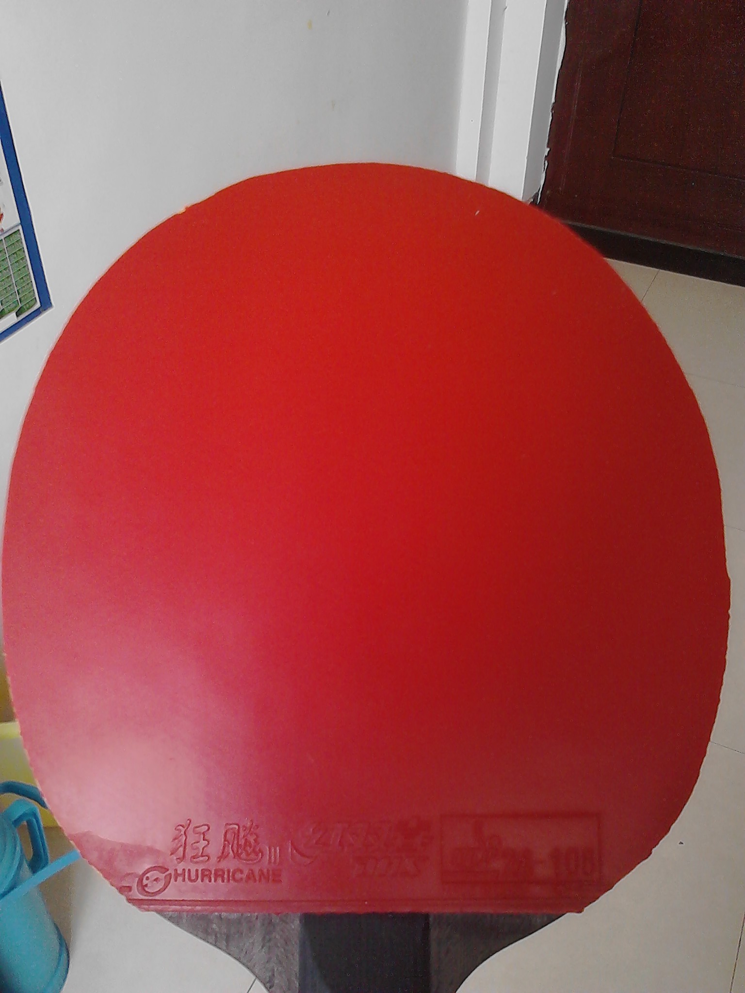 08��������~~�п���ȫ~