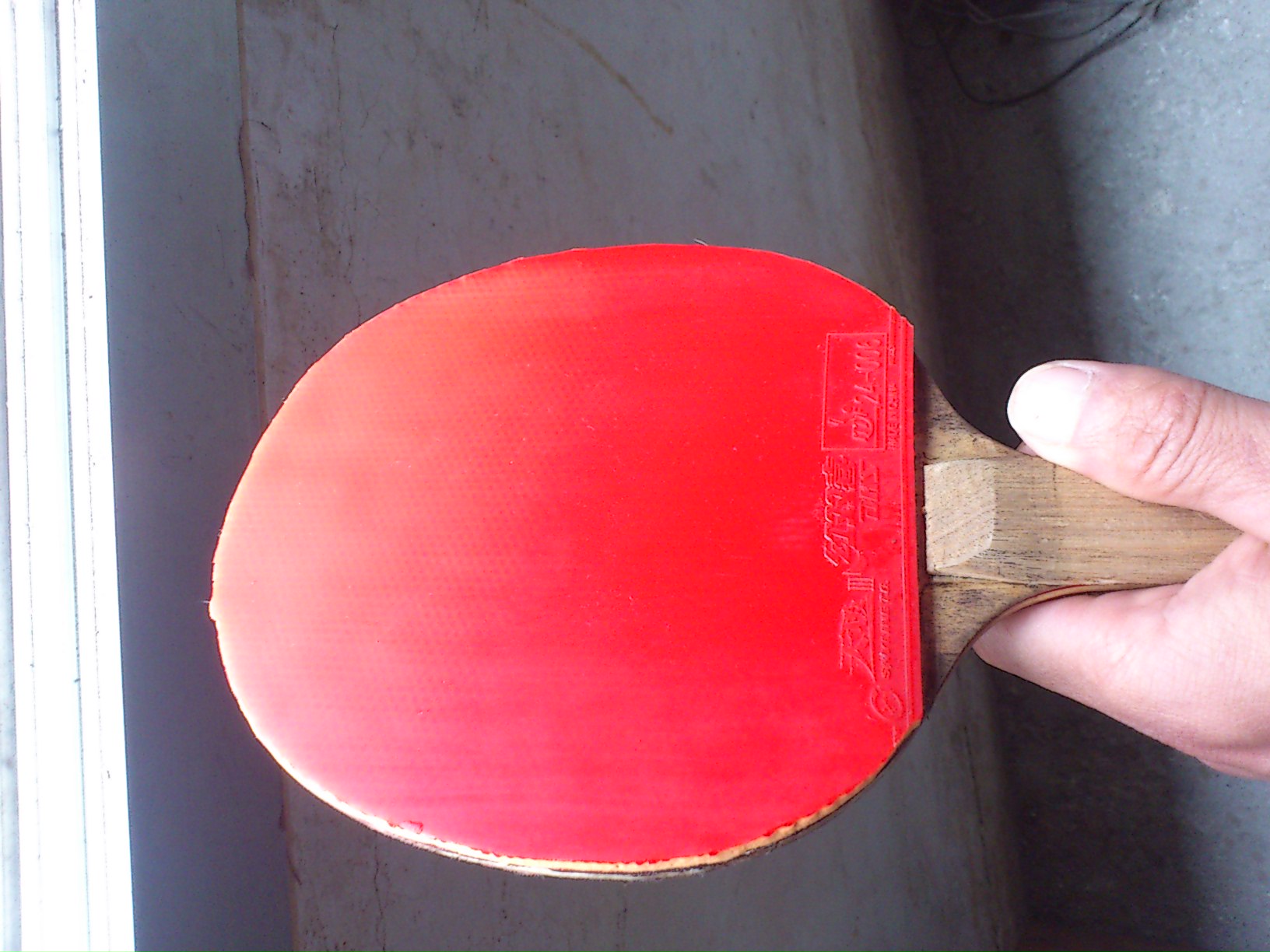 ��ŷ����4��430���켫��