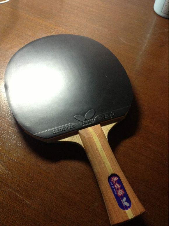 ��Ⱥ�ѳ������������