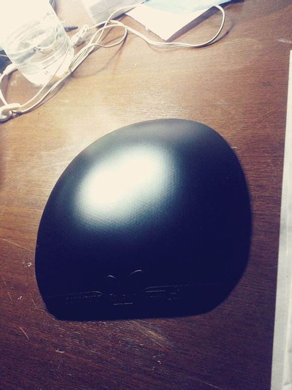 ��Ⱥ�ѳ������������