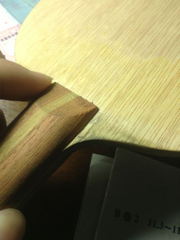 ��Ⱥ�ѳ������������