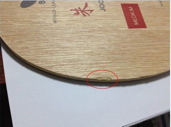 ��Ⱥ�ѳ������������