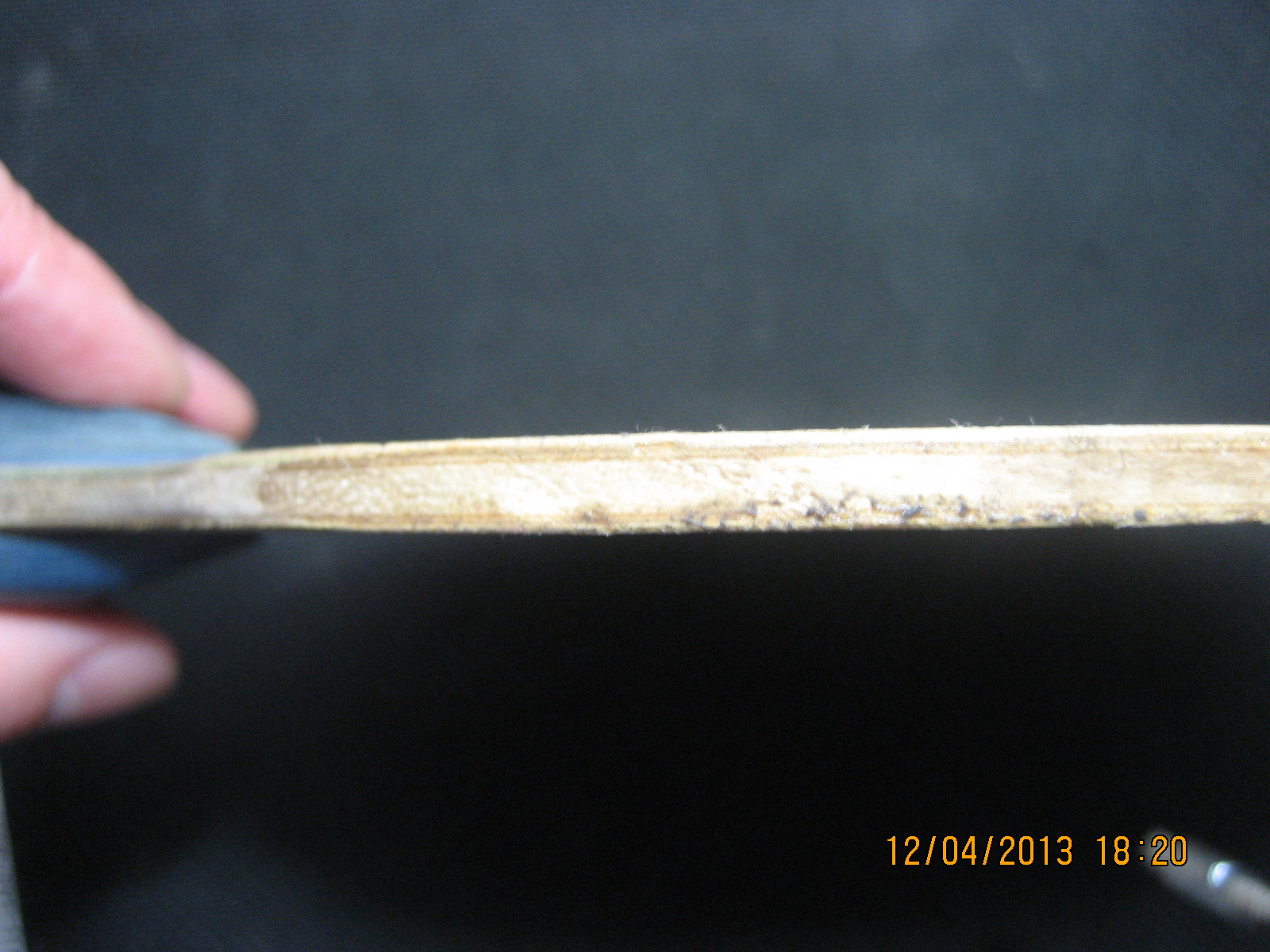 ######��T05��ʡ��3######