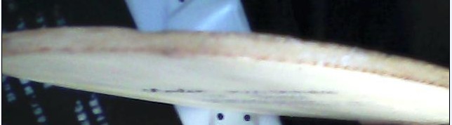 �ⶫ������Ҫ��