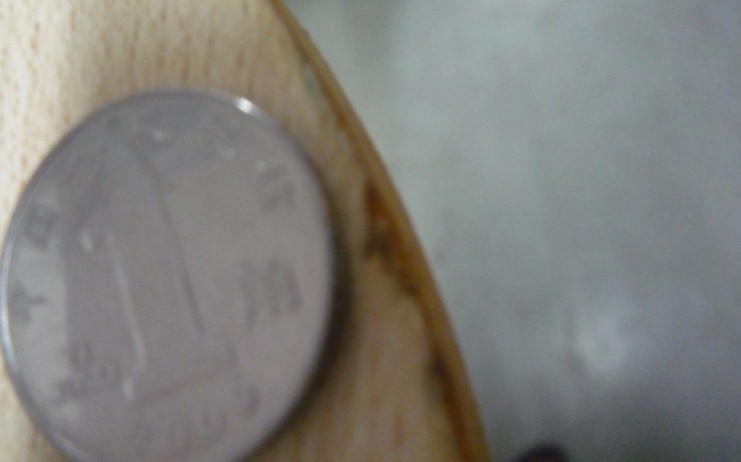 ��һ�����˵�ŷ���ľ5