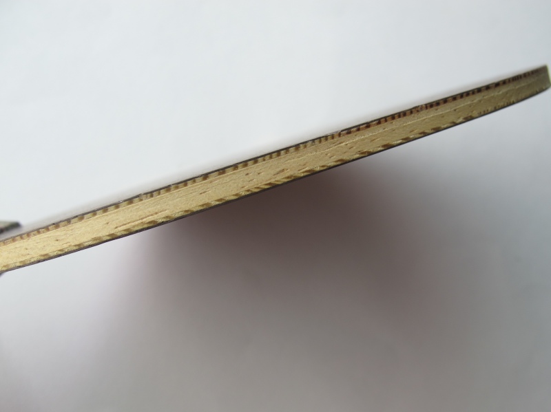 �� �л���5.4 WRB С�ֱ�ֱ��һֻ��450Ԫ����֧����