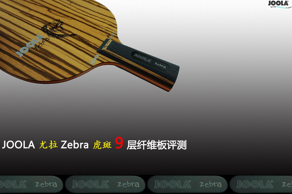 ԴԵھֺľľŲά  JOOLA    Zebra    װ