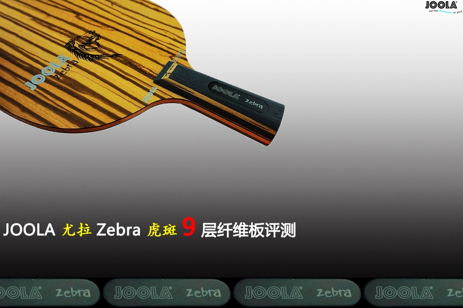 ԭԴԵھֺľľŲά  JOOLA    Zebra    װ