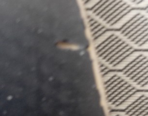 ��ɫʡ��39��+��ɫf1