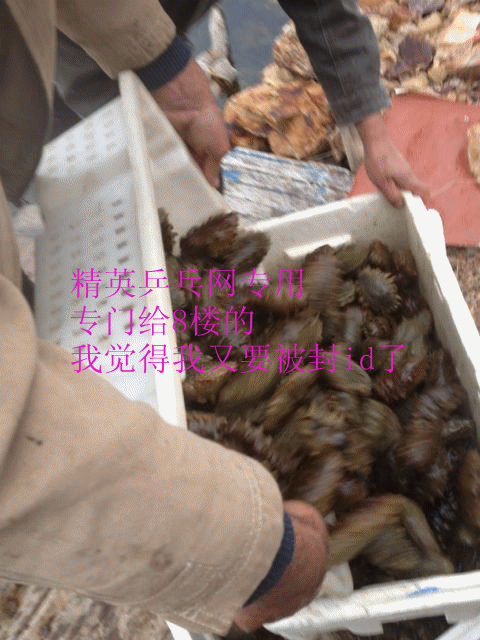 ������� boll alc viva ������սvis eg �ȵ�һЩ���Ӻͽ�Ƥ ��˵���ⳤ��ʹѽ �����һ��и����� ը�� ������zap��era �������Ͷ���Ŷ �����н�Ƥ�ͺ�������zap˭��մ �Լ�մһ�� �������� ������ �����������