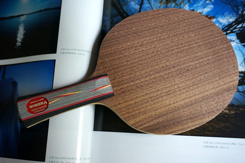 ���׵� ������� רҵ�� YEO