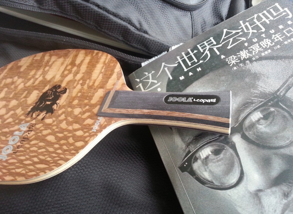 ���ͽ��ܡ���JOOLA��