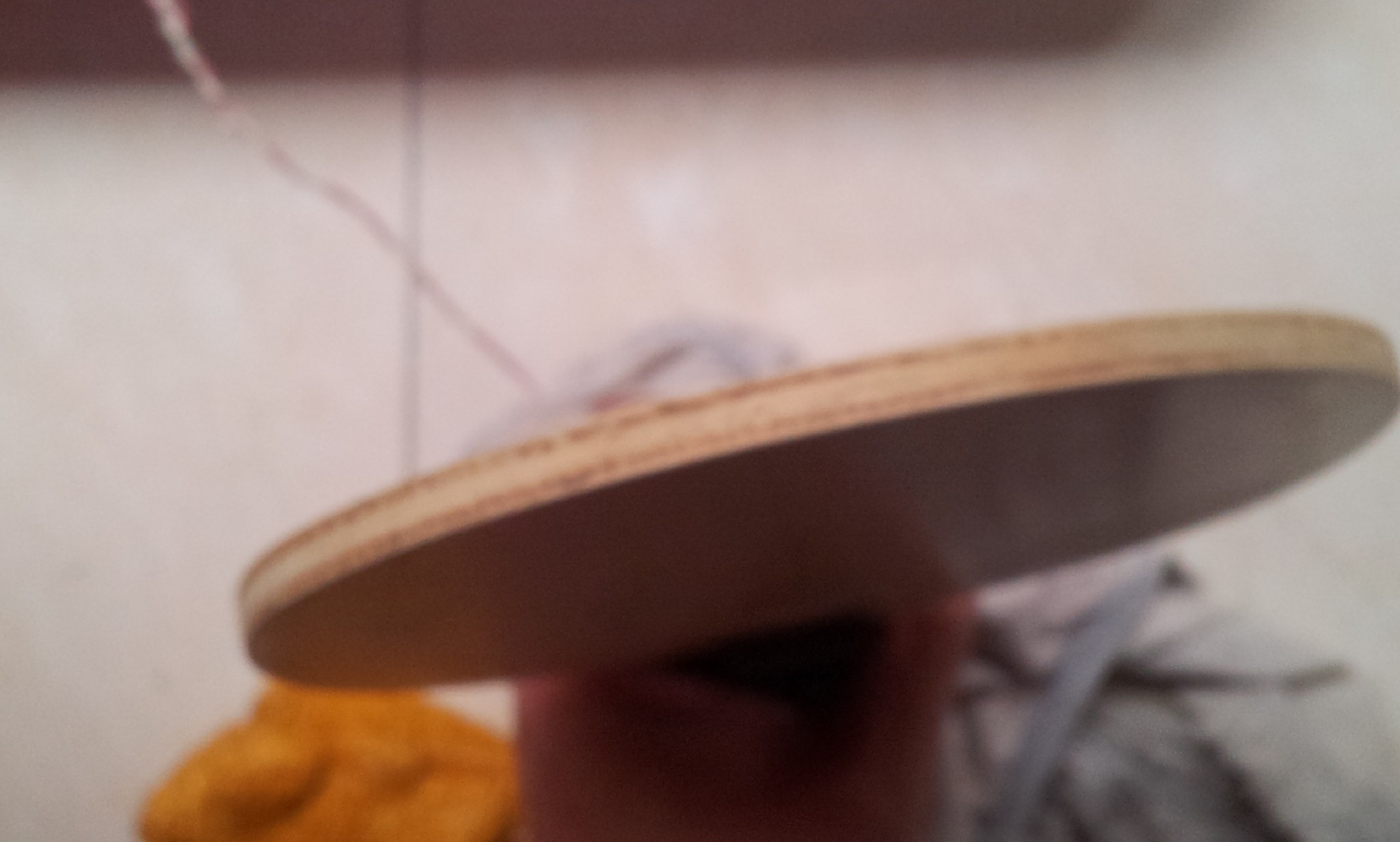 �����л���ľ7,��������˿��Ϳ�������ԭ�С�785��˳�ᣬQQ18967819��