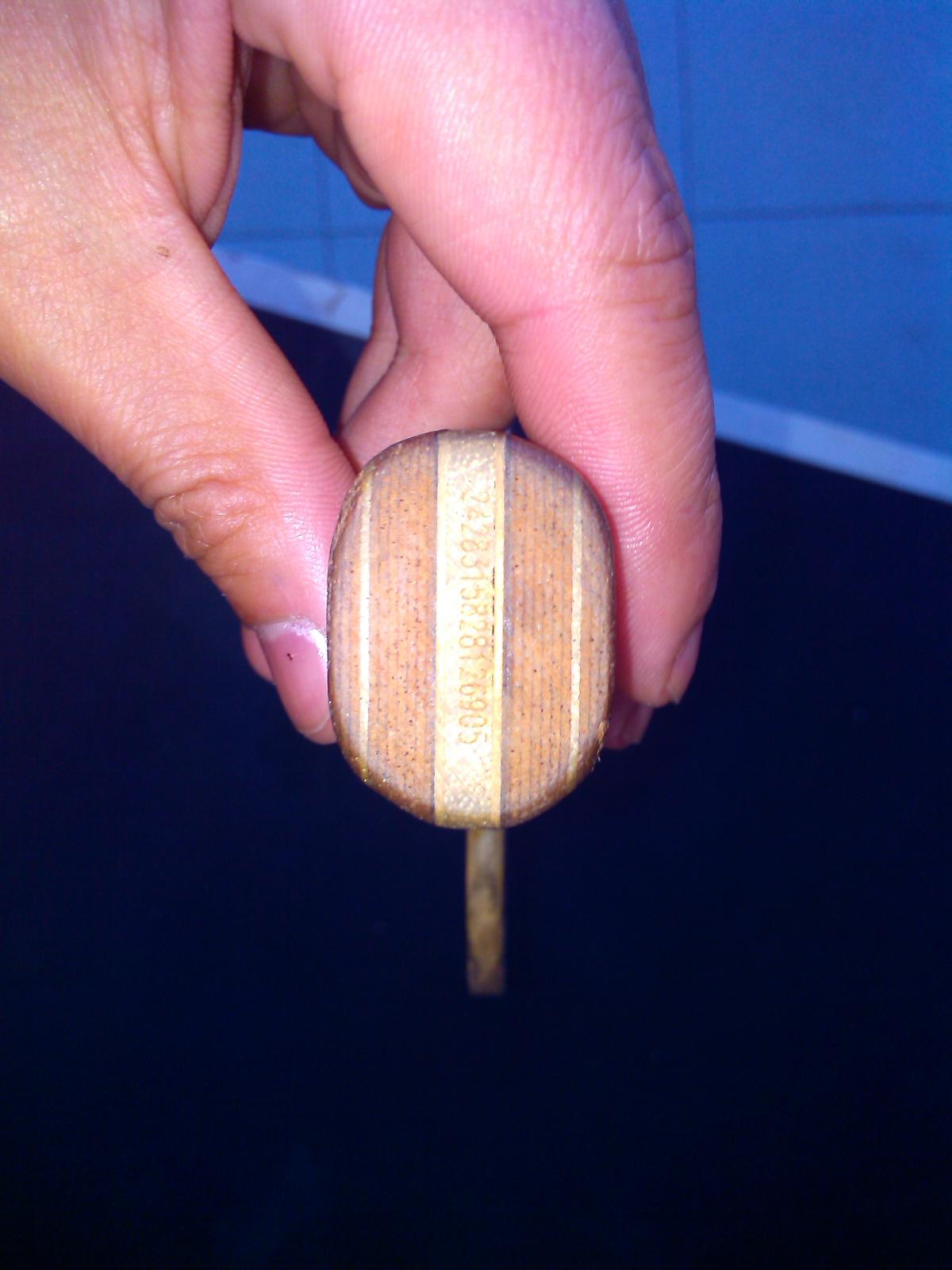 ���룡�����л�õ����  ��ɫ������ʵ��������