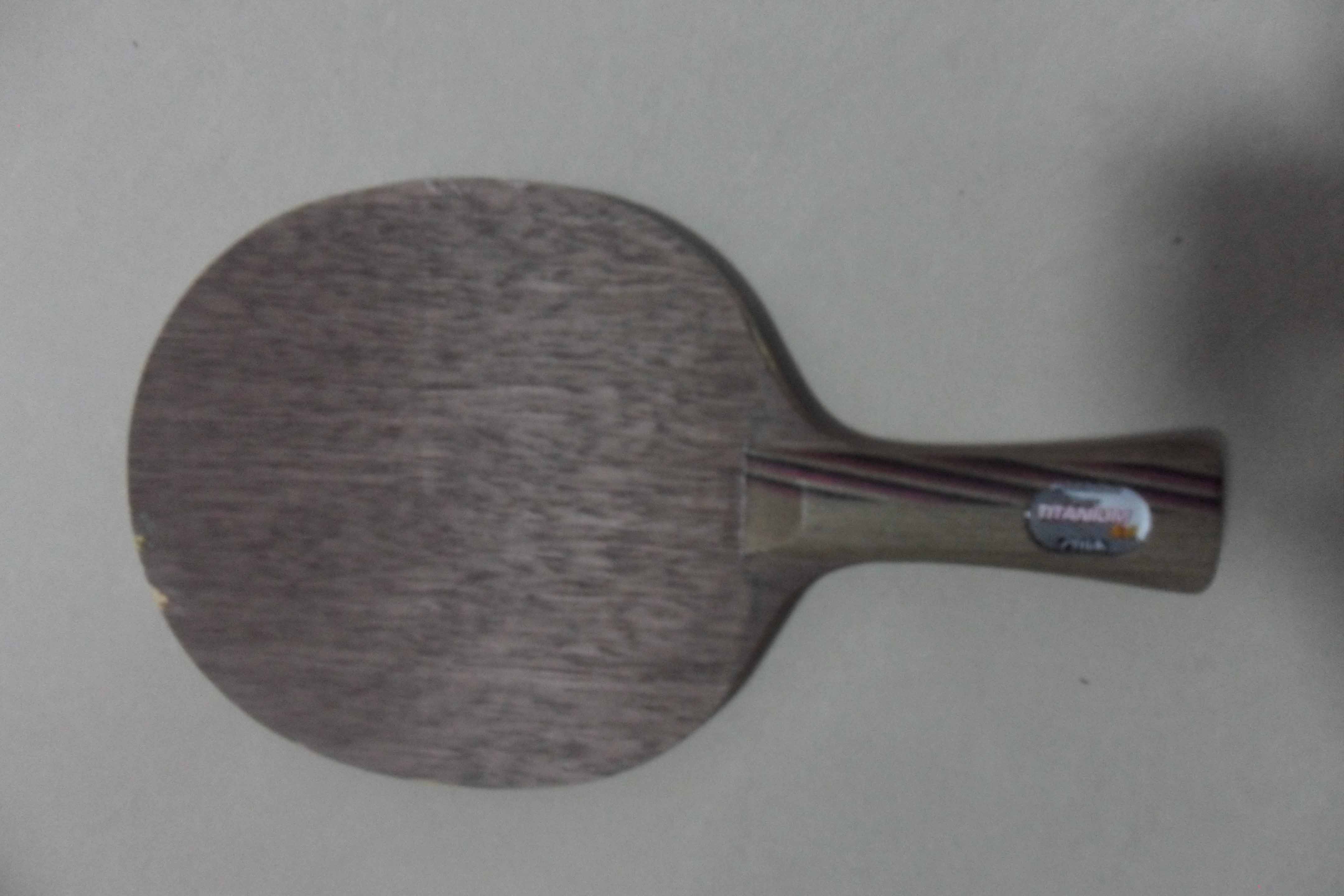 ֹ�մ�������