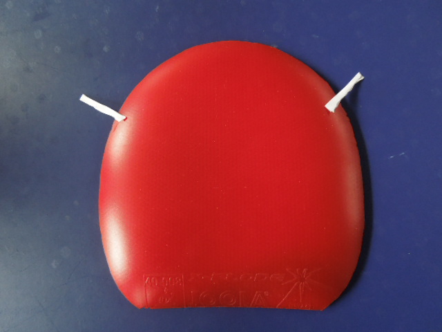 ���׽�������